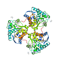 BU of 4ixv by Molmil