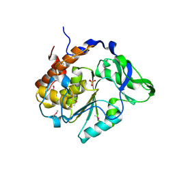 BU of 4jbc by Molmil