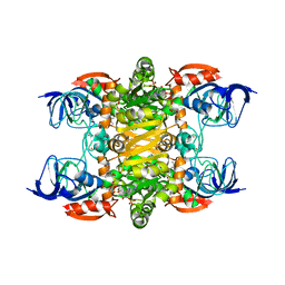 BU of 4jbi by Molmil