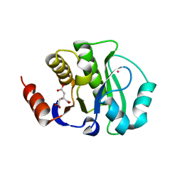 BU of 4jca by Molmil