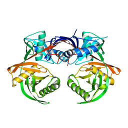 BU of 4jci by Molmil