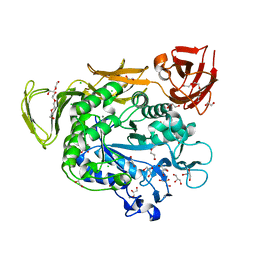 BU of 4jcl by Molmil