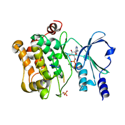 BU of 4jdi by Molmil