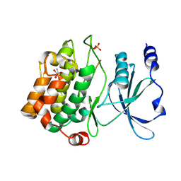 BU of 4jdk by Molmil