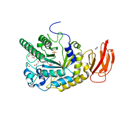 BU of 4jfu by Molmil