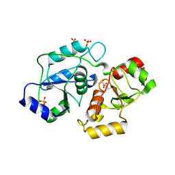 BU of 4jgt by Molmil