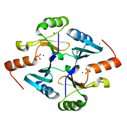 BU of 4jh1 by Molmil