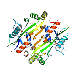 BU of 4jhc by Molmil