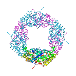 BU of 4jhl by Molmil