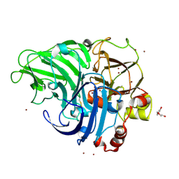 BU of 4jhu by Molmil