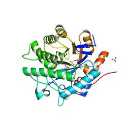 BU of 4jic by Molmil