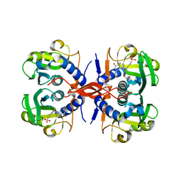 BU of 4jit by Molmil