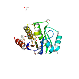 BU of 4jll by Molmil