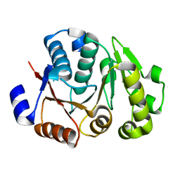 BU of 4jmp by Molmil