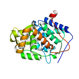 BU of 4jn0 by Molmil