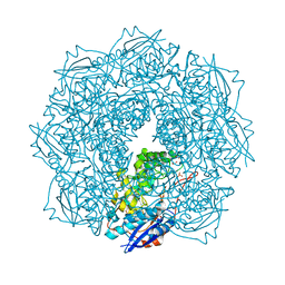 BU of 4jn8 by Molmil