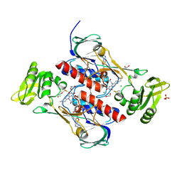 BU of 4jn9 by Molmil