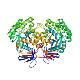 AU of 4jnp by Molmil