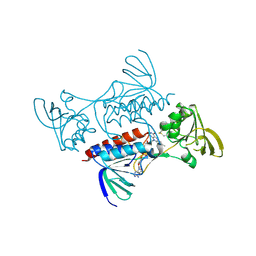 BU of 4jnq by Molmil