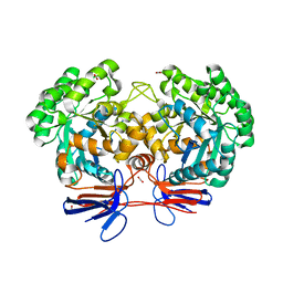 AU of 4jns by Molmil