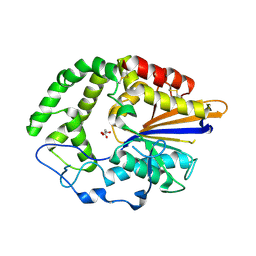 BU of 4joc by Molmil