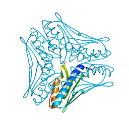 BU of 4jpd by Molmil