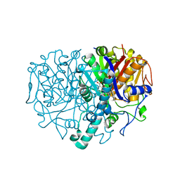 BU of 4jpf by Molmil