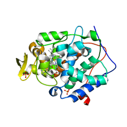 BU of 4jpt by Molmil