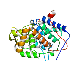 BU of 4jpu by Molmil