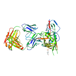 BU of 4jpw by Molmil