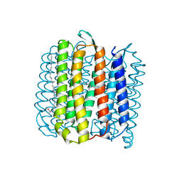 BU of 4jr8 by Molmil