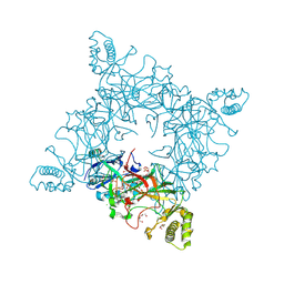 BU of 4jrf by Molmil