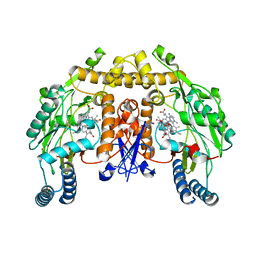 BU of 4jsg by Molmil