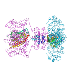 BU of 4jta by Molmil