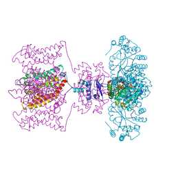 BU of 4jta by Molmil