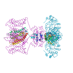 BU of 4jtc by Molmil