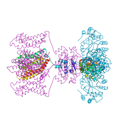 BU of 4jtc by Molmil