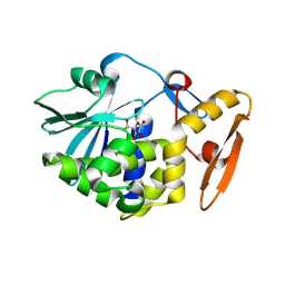 BU of 4jtp by Molmil