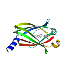 BU of 4jvb by Molmil