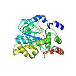 BU of 4jvm by Molmil