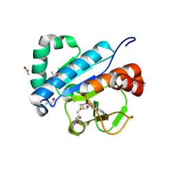 BU of 4jwf by Molmil