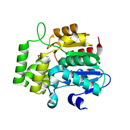 BU of 4jym by Molmil