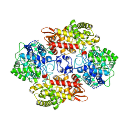 AU of 4ka5 by Molmil