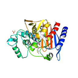 BU of 4kg2 by Molmil