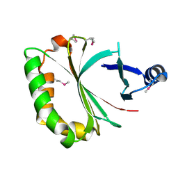 BU of 4kia by Molmil