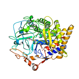 AU of 4kkf by Molmil