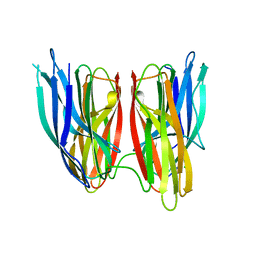 BU of 4kkr by Molmil