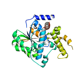 BU of 4kl0 by Molmil