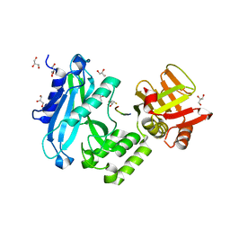 BU of 4kmd by Molmil