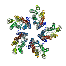 BU of 4knf by Molmil